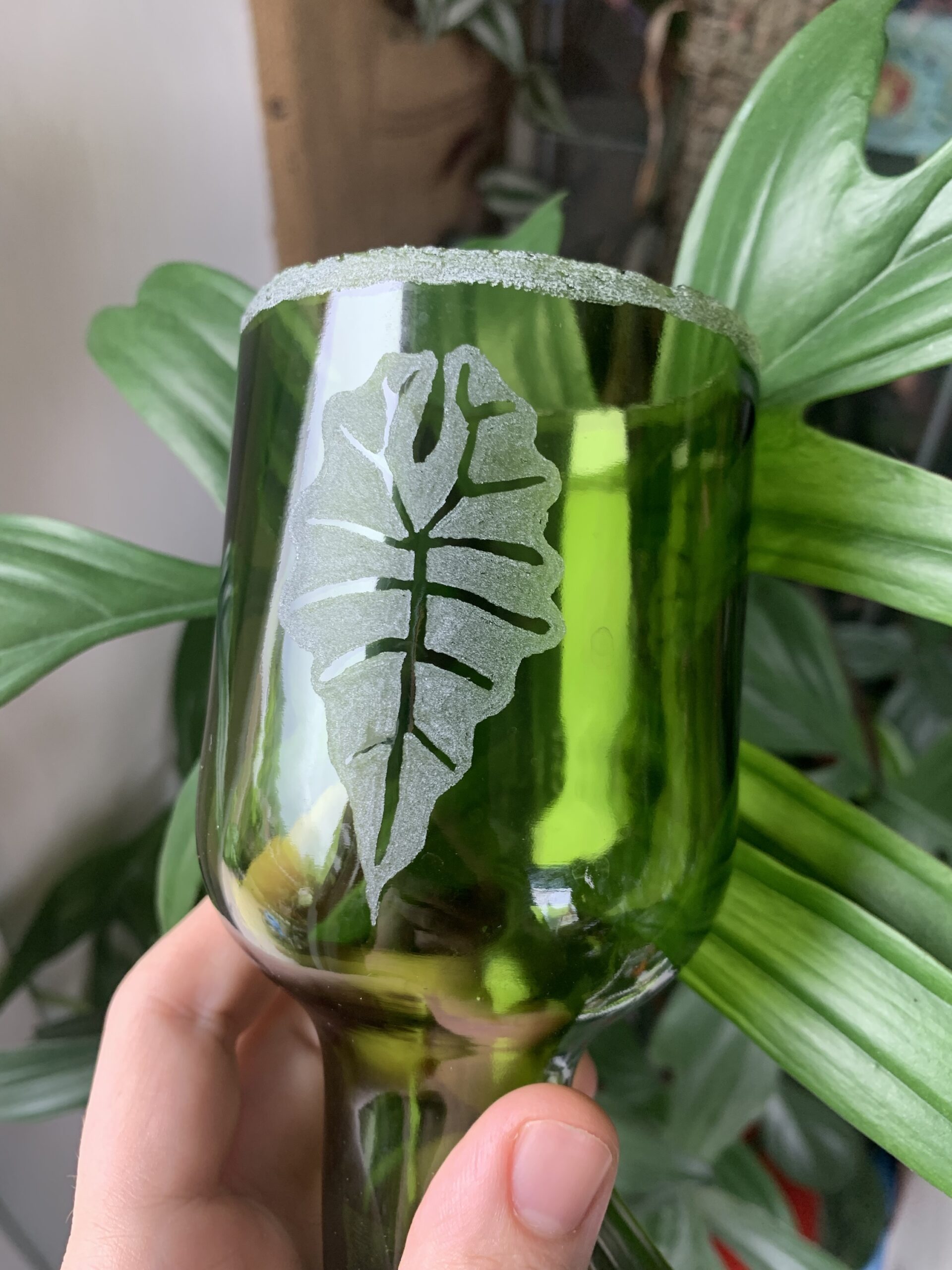 DIY Tuteur et Rempotage de Monstera 