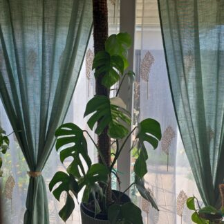 Tuteur monstera sur mesure (1,5m ou 2,2m)